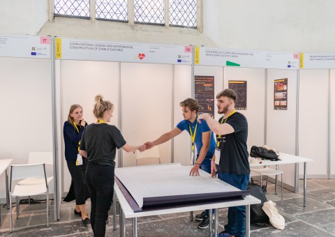 A group of young people is building a wall filled with information about their project